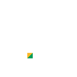 Logo-TheRevealCompany
